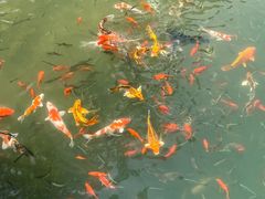 -高淳老街