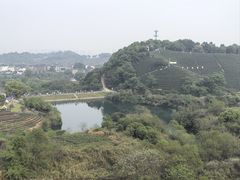 -龙坞茶村