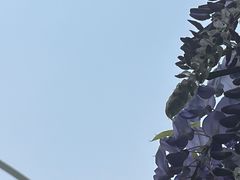 -龙头寺公园