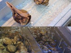 -協成海鮮火鍋(老店)