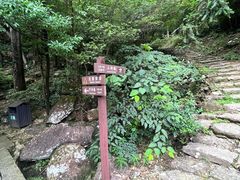 -雁荡山三折瀑景区