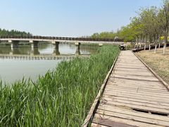 -西青郊野公园