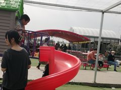 -小鱼草莓采摘园农家乐·小鱼餐厅