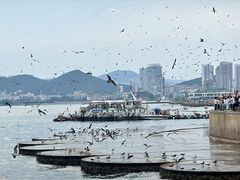 -星海广场