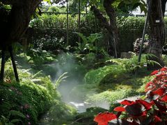 -Chom Cafe and Restaurant