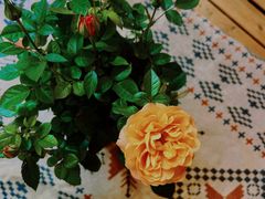 -荒野美食汇(永庆坊店)