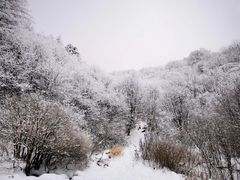 -秦岭风景区