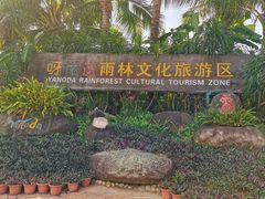 -呀诺达热带雨林