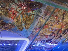 -阿伟海鲜楼·福建菜(延寿店)