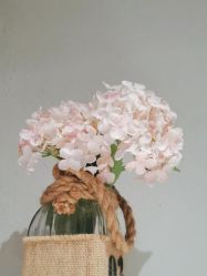 -香秀空间科技抗衰·美容中心