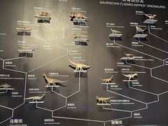 -浙江自然博物院(杭州馆)