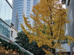-徐家汇源景区-衡山坊