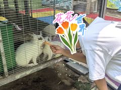 -草根堂农场