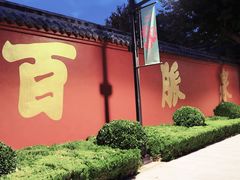 -百脉泉景区