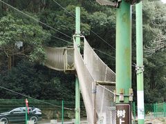 -衢州大荫山丛林飞越探险乐园