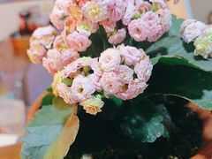 -楚氏正骨推拿按摩院(九水东路店)