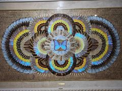 -上海昆虫博物馆