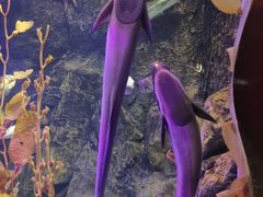 -太平洋海底世界