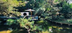 -上海瑞金洲际酒店·宴会厅
