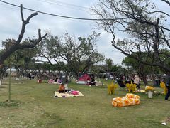 -长洲岛都市农业公园