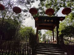 -大槐树寻根祭祖园