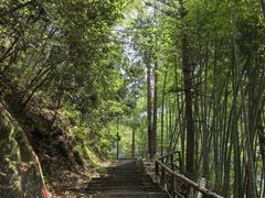 -东天目山风景区