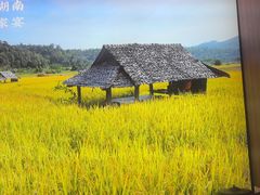 -湘邻呷铺·田园家宴(汉基广场店)