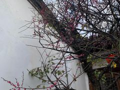 -福建民俗博物馆