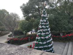 -美丽洲堂