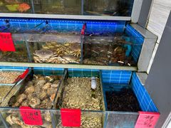 -金海湾海鲜排档(朱家尖店)