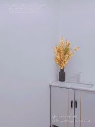 -CAMENAE嘉媚乐