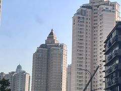 -紫峰大厦