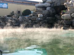 -仁爱团泊湖温泉中心
