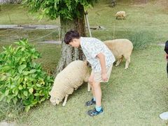 -神户市立六甲山牧场