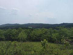 -高尔山公园