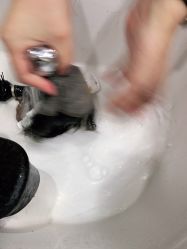 -唐风采假发补发定制