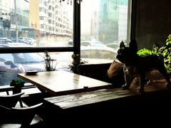 -LYFATTI 莱芙缇(赣水路店)