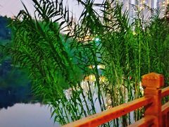 -重庆彩云湖湿地公园