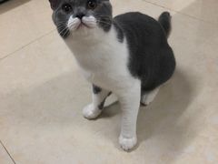 -宠颐生宠物医院外科·内科·皮肤科·影像科(石龙店)