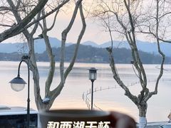 -青竺·青竹茶舍(断桥店)
