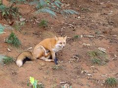 -云南野生动物园