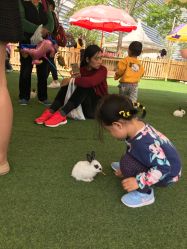 -萌宠亲子动物乐园(槐房万达店)