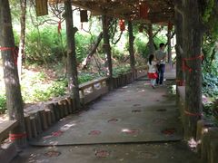 -雪山彩虹谷景区