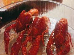 -红盔甲·小龙虾(车公庙店)