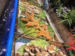 -鼎香缘海鲜自助火锅烤肉(锦辉购物广场店)