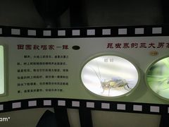 -上海大自然野生昆虫馆(东方明珠·爬宠昆虫探索中心)