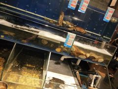 -烧货·活海鲜炭烧(湖滨商业街店)