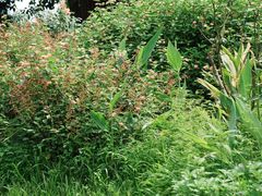 -人民公园(罗湖区)