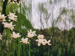 -白塘生态植物园