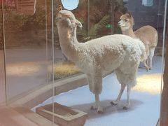 -秦皇岛新澳海底世界